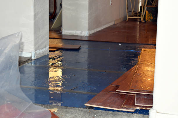 Professional Sewage Cleanup technician working in Vinton, TX
